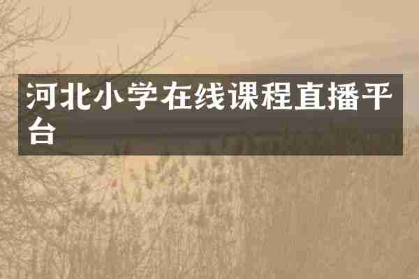 河北小学在线课程直播平台
