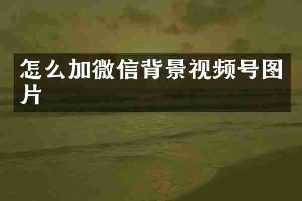 怎么加微信背景视频号图片