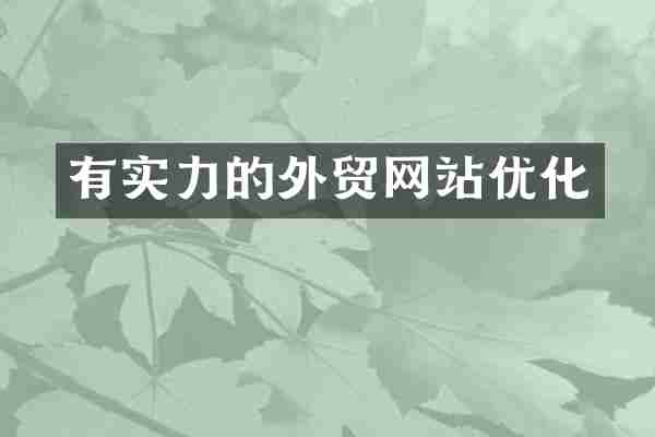 有实力的外贸网站优化
