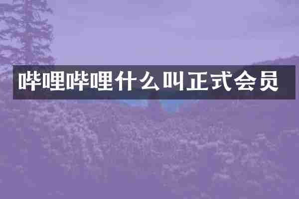 哔哩哔哩什么叫正式会员