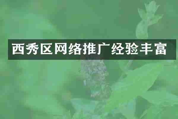 西秀区网络推广经验丰富