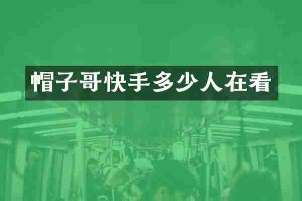 帽子哥快手多少人在看