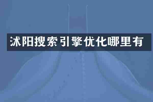 沭阳搜索引擎优化哪里有
