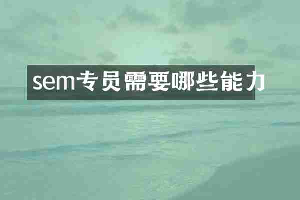 sem专员需要哪些能力