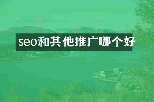 seo和其他推广哪个好