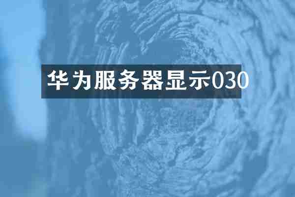 华为服务器显示030