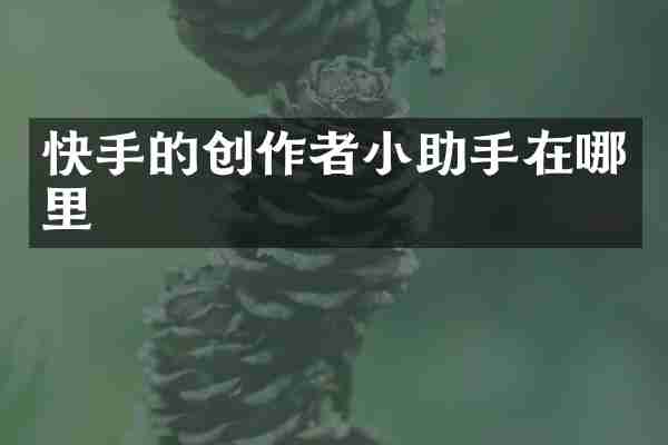 快手的创作者小助手在哪里