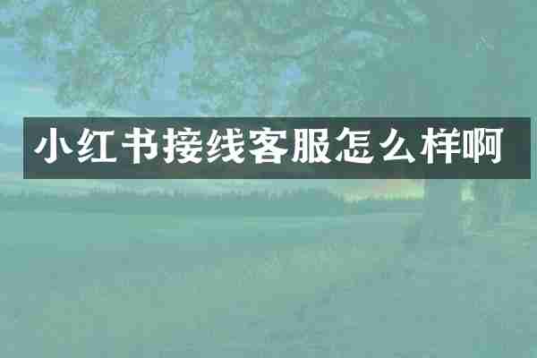小红书接线客服怎么样啊