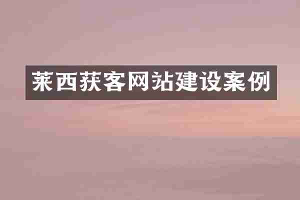 莱西获客网站建设案例
