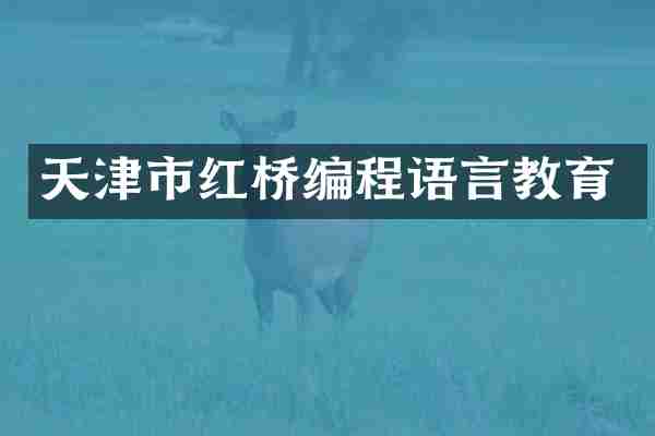 天津市红桥编程语言教育