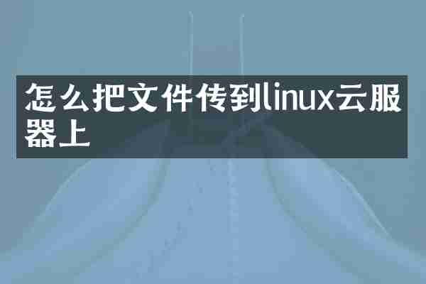 怎么把文件传到linux云服务器上