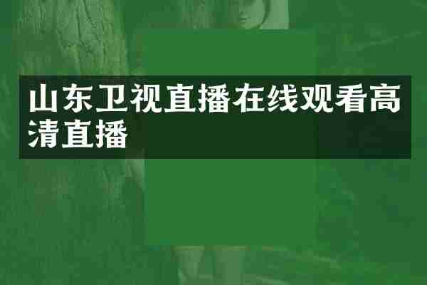 山东卫视直播在线观看高清直播