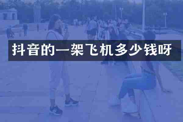 抖音的一架飞机多少钱呀