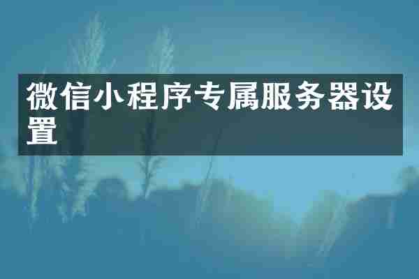 微信小程序专属服务器设置