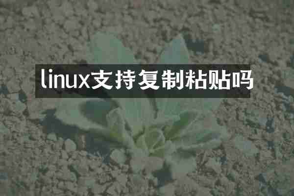 linux支持复制粘贴吗