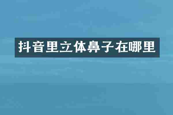 抖音里立体鼻子在哪里
