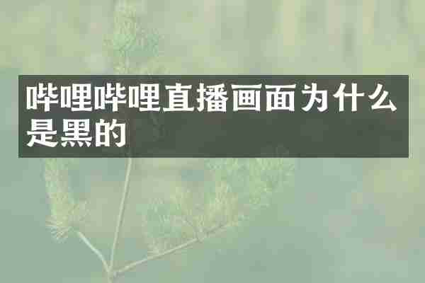 哔哩哔哩直播画面为什么是黑的