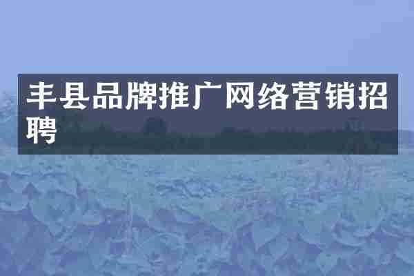丰县品牌推广网络营销招聘