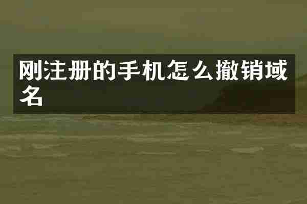 刚注册的手机怎么撤销域名