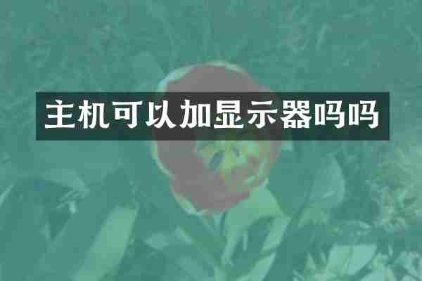 主机可以加显示器吗吗