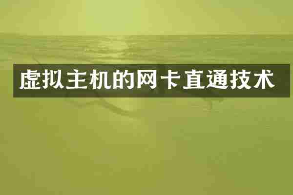 虚拟主机的网卡直通技术