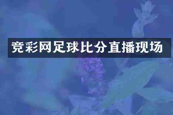 竞彩网足球比分直播现场