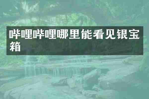 哔哩哔哩哪里能看见银宝箱