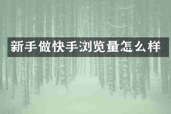 新手做快手浏览量怎么样