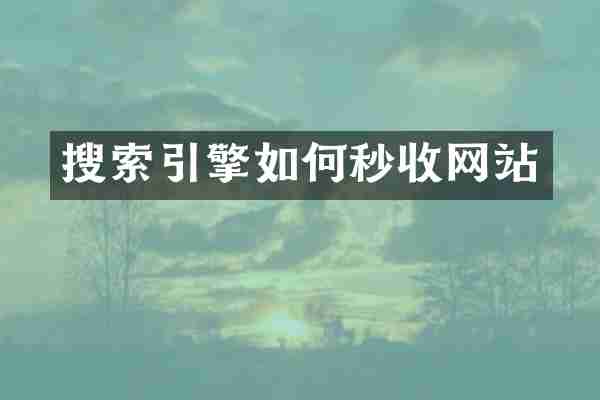 搜索引擎如何秒收网站