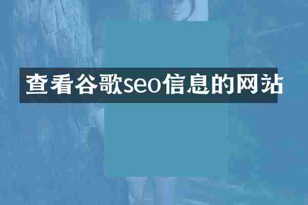 查看谷歌seo信息的网站