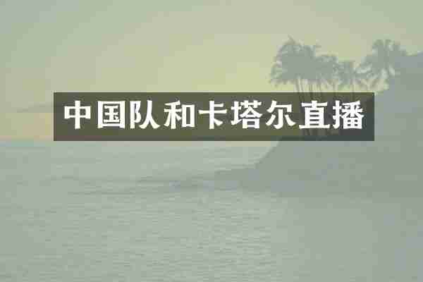 中国队和卡塔尔直播