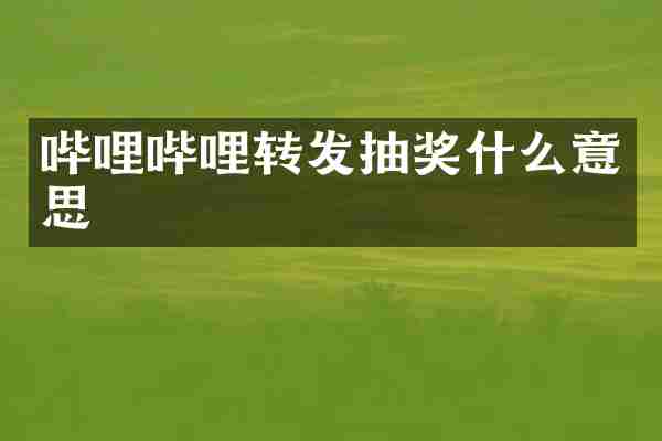 哔哩哔哩转发抽奖什么意思