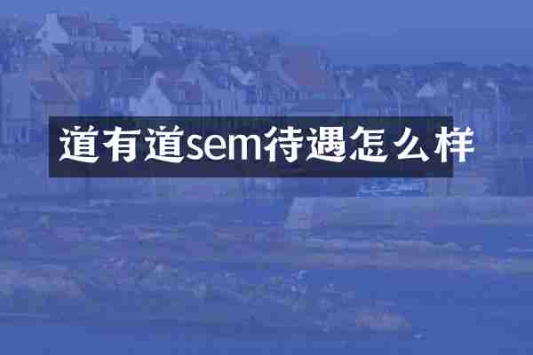 道有道sem待遇怎么样