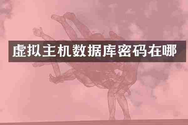 虚拟主机数据库密码在哪