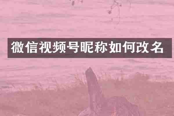 微信视频号昵称如何改名