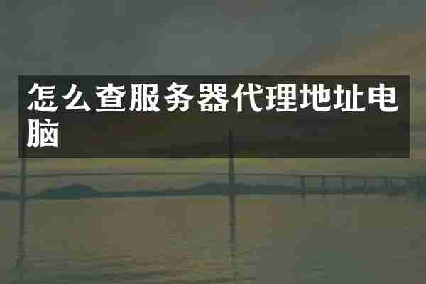 怎么查服务器代理地址电脑