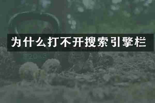 为什么打不开搜索引擎栏