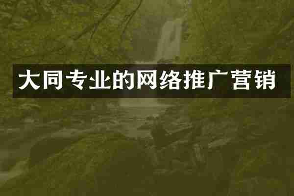 大同专业的网络推广营销