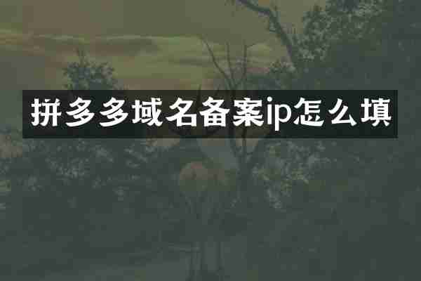 拼多多域名备案ip怎么填