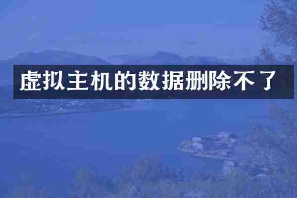 虚拟主机的数据删除不了