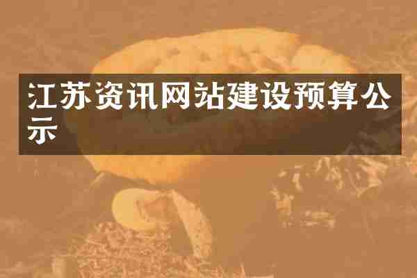 江苏资讯网站建设预算公示