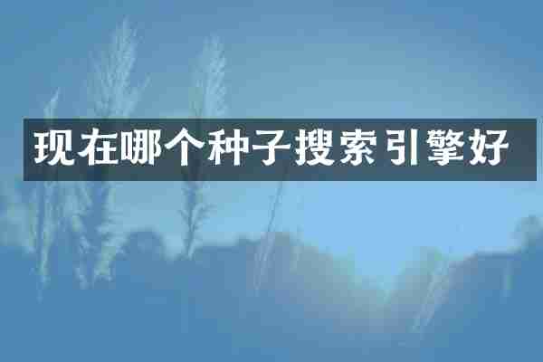 现在哪个种子搜索引擎好