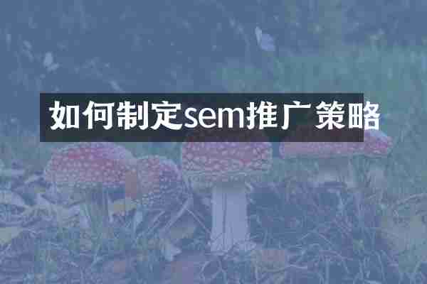 如何制定sem推广策略