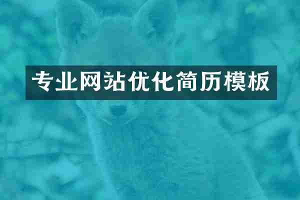 专业网站优化简历模板