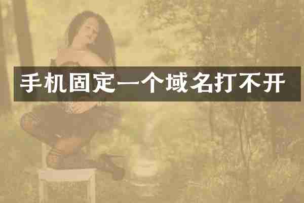 手机固定一个域名打不开