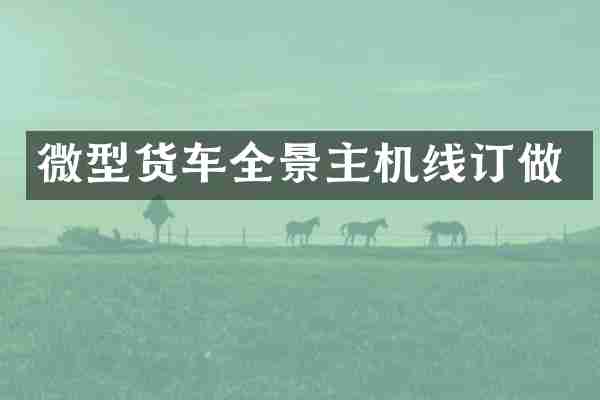 微型货车全景主机线订做