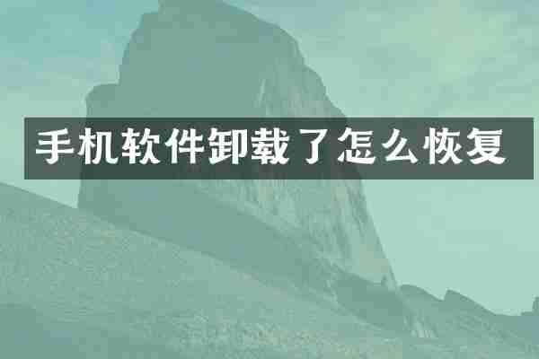 手机软件卸载了怎么恢复