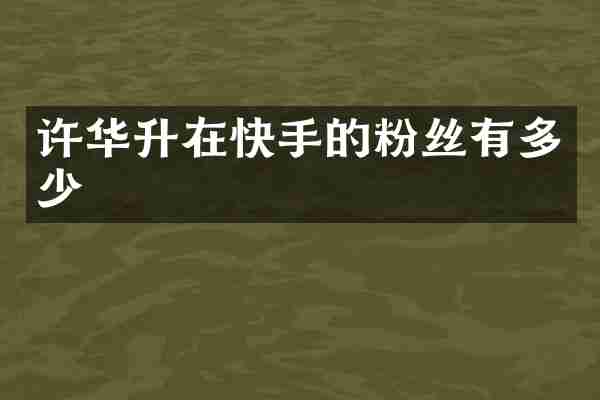 许华升在快手的粉丝有多少