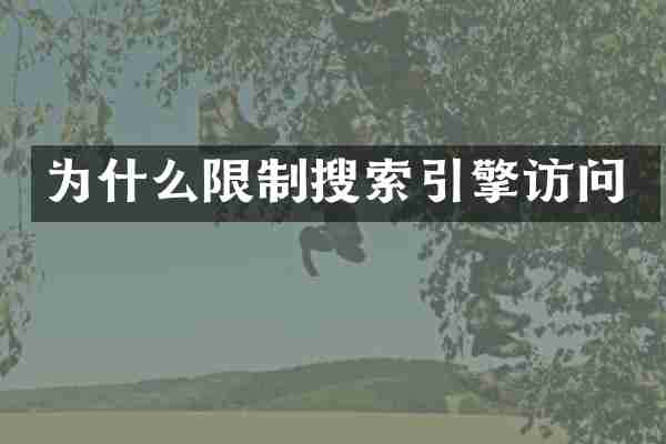 为什么限制搜索引擎访问