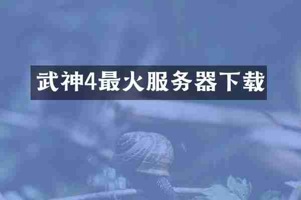 武神4最火服务器下载